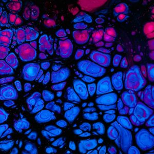 Imagem microscópica de células para os planos de Biologia